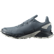 Pánske bežecké topánky Salomon Alphacross 4 Gore-Tex