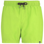 Pánske plavky Regatta Mawson Swim Shorts III