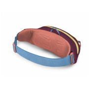Ľadvinka Osprey Daylite Waist Pack
