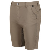 Pánske kraťasy Regatta Sandros Short