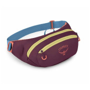 Ľadvinka Osprey Daylite Waist Pack