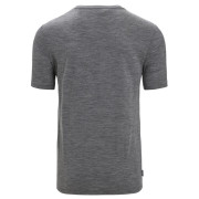 Pánske funkčné tričko Icebreaker Tech Lite II SS Tee Nature Sprint
