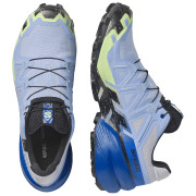 Pánske bežecké topánky Salomon Speedcross 6 GTX Icon