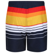 Pánske kraťasy Regatta Loras Swim Short m