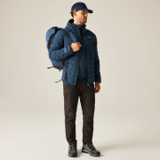 Pánska bunda Regatta Asper