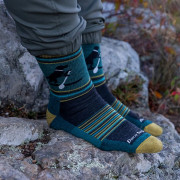 Pánske ponožky Darn Tough Willoughby Micro Crew Lightweight With Cushion