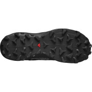 Dámske topánky Salomon Wildcross Gtx