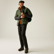 Pánska bunda Regatta Hooded Dalent