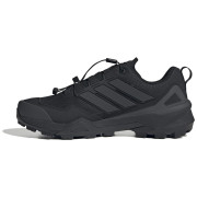 Pánske turistické topánky Adidas Terrex Skychaser Gt