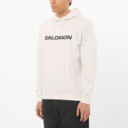 Pánska mikina Salomon Logo Hoodie M
