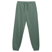 Pánske tepláky 4F Trousers Cas M1272 zelená GREEN