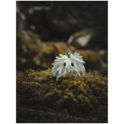 Vrecko na magnézium Midnight Lightning Chalktopus