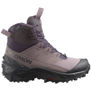 Dámske zimné topánky Salomon Crosstrak Powder Wp W hnedá Nine Iron / Shark / Phantom
