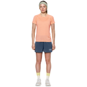 Dámske tričko Devold Endurance Merino 130 Tee Wmn
