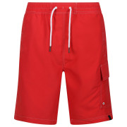Regatta Hotham BdShort IV