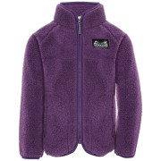Detská mikina Didriksons Gibbs Kids Fullzip 2 Northen Purple fialová Northen Purple