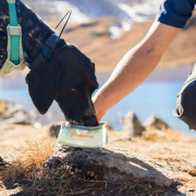 Skladacia miska Hydrapak Rover Dog Bowl