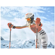 Lyžiarske okuliare Uvex Victorious CV