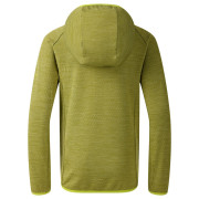Detská bunda Dare 2b Expedition Midlayer GoldnCypress