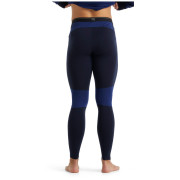 Pánske spodky Icebreaker Mens 260 Zone Leggings