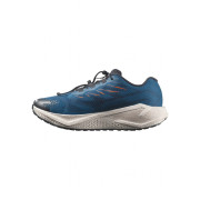Pánske topánky Salomon Aero Blaze 4 Grvl