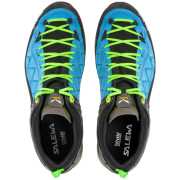 Pánske topánky Salewa Ms Mtn Trainer 2 Gtx