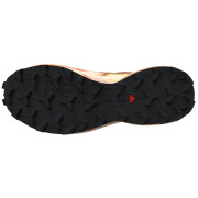 Dámske topánky Salomon Speedcross 6 Gore-Tex