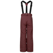 Detské zimné nohavice Dare 2b Outmove III Insulated Pant Huckleberry