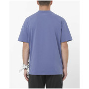 Pánske tričko Salomon Wild Rays Label SS Tee