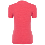 Dámske tričko Salewa Pedroc Amr W Seamless T-Shirt