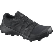 Pánske topánky Salomon Wildcross Gtx