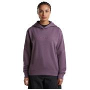 Dámska funkčná mikina Icebreaker W Mer 360 RealFleece Elemental LS Hood