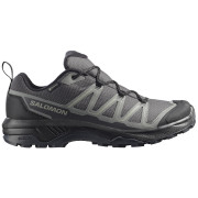 Pánske trekové topánky Salomon Exraise Gtx sivá Asphalt / Sedona Sage / Black