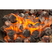 Grilovacie brikety CasusGrill Bamboo Charcoal Briquettes