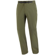 Pánske nohavice Salomon Wayfarer 2.0 Pants M zelená Grape Leaf