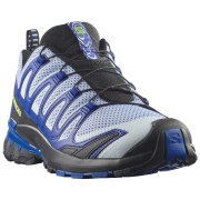 Salomon Xa Pro 3D V9 Icon