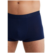 Pánske boxerky Icebreaker M Anatomica Cool-Lite Trunks