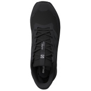 Dámske topánky Salomon Alphaglide Gore-Tex