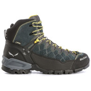 Pánske topánky Salewa MS Alp Trainer MID GTX