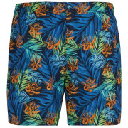 Pánske plavky Regatta Loras Swim Short