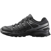 Pánske topánky Salomon Extegra Gore-Tex
