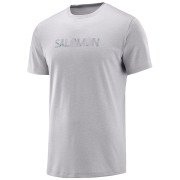 Pánske triko Salomon Agile Graphic Tee M-alloy heat