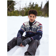 Pánsky sveter Dale of Norway Vail Masc Sweater
