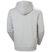 Pánska mikina Helly Hansen Core Graphic Hoodie