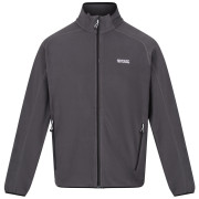 Pánska mikina Regatta Hadfield sivá Seal Grey