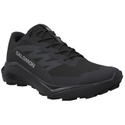 Dámske topánky Salomon Alphaglide Gore-Tex