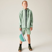 Detská bunda Dare 2b Kids Switch II Jacket GlacierGreen