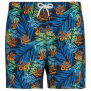 Pánske plavky Regatta Loras Swim Short