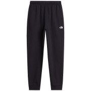 Pánske tepláky The North Face M Evolution Simple Dome Regular Jogger čierna TNF BLACK