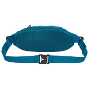 Ľadvinka The North Face Lumbnical L
